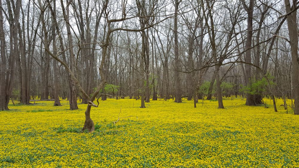 Spring day at Scioto Grove Metro Park
