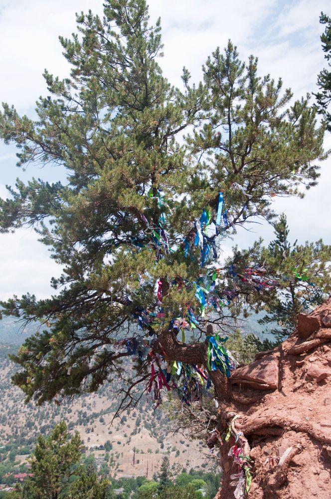 A wishing tree at Doc Holliday’s Grave Trailhead