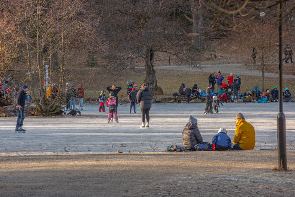 People ice skating on Slottsskogen's frozen lake