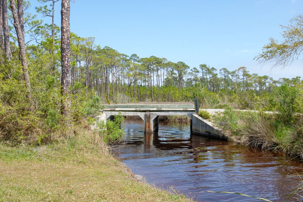 A bridge over the waters of Bon Secour National Wildlife Refuge