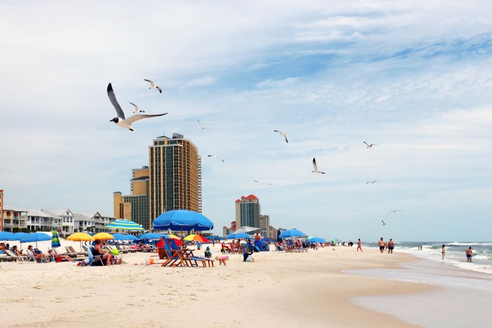 People at the Gulf Shores Beach with birds flying around