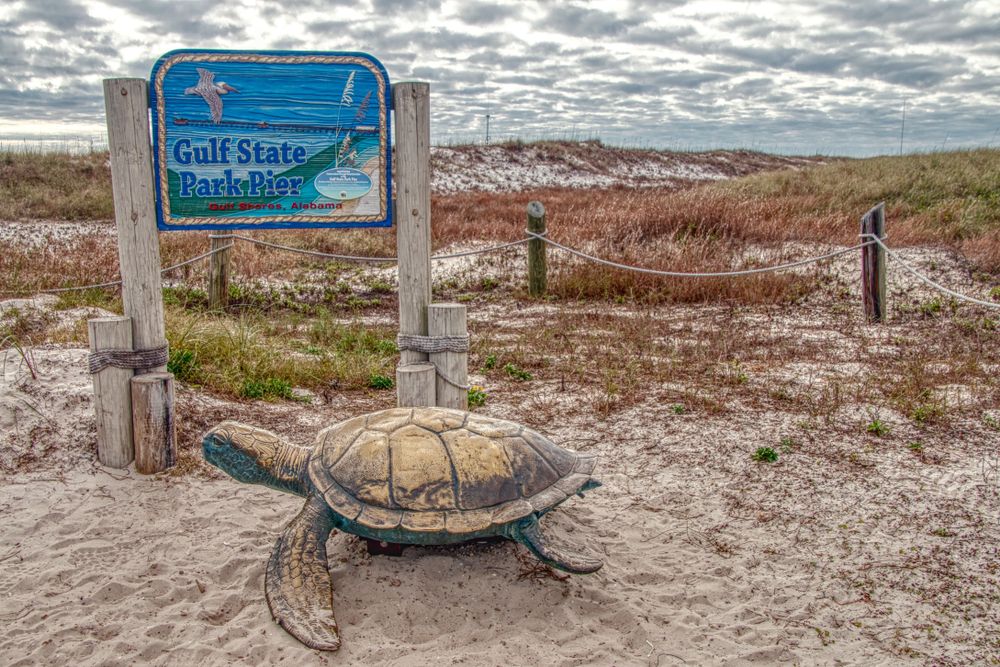 A turtle under the Gulf State Park pier sign