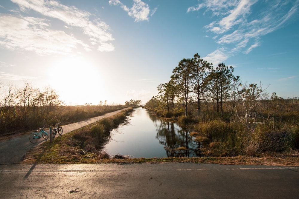 A lake at Gulf State Park
