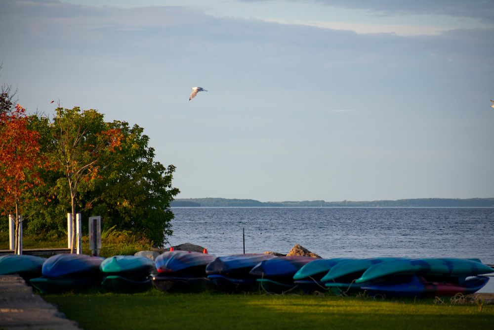 Kayaks at Clinch Park