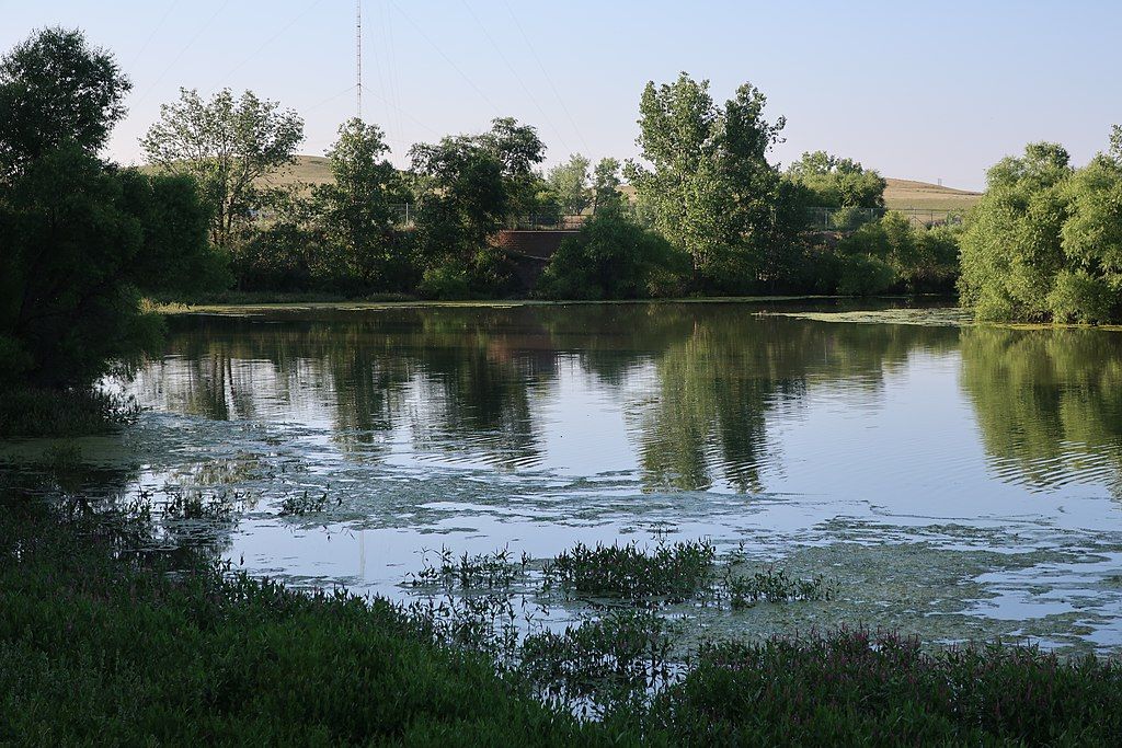 The waters of Burlington Lake