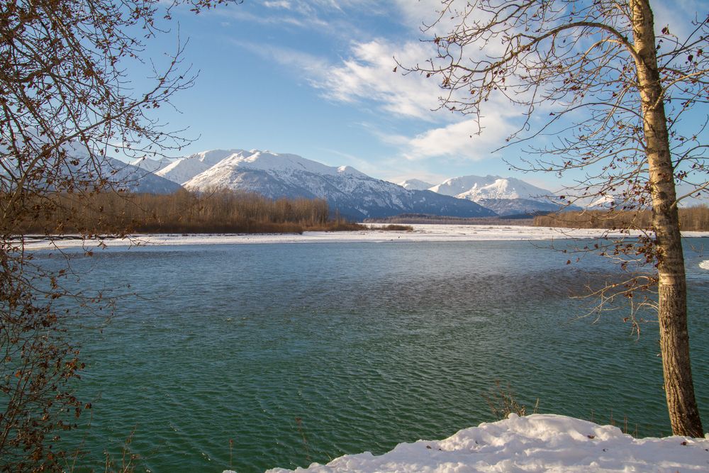 The waters of Chilkat River