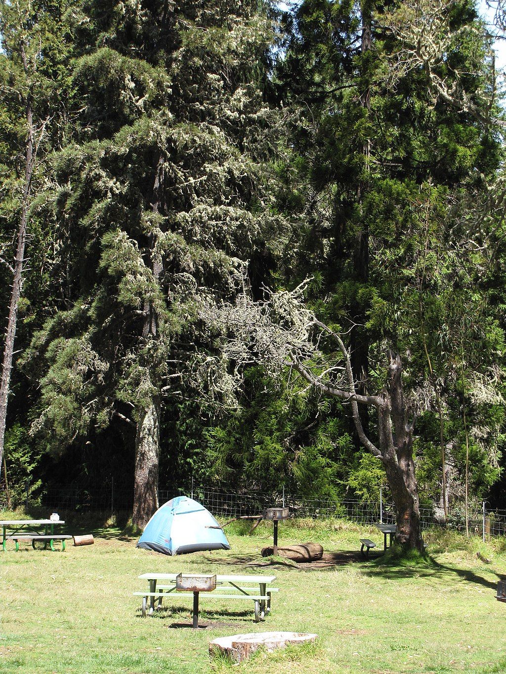 A tent on the grounds of Hosmer Grove Campgrounds