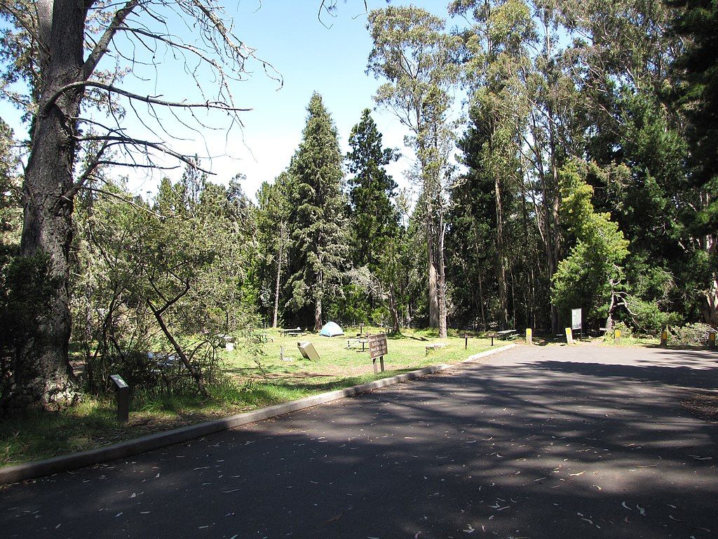 A pathway at Hosmer Grove Campgrounds