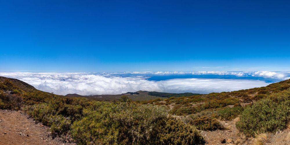 Gorgeous sea of clouds from Leleiwi Overlook