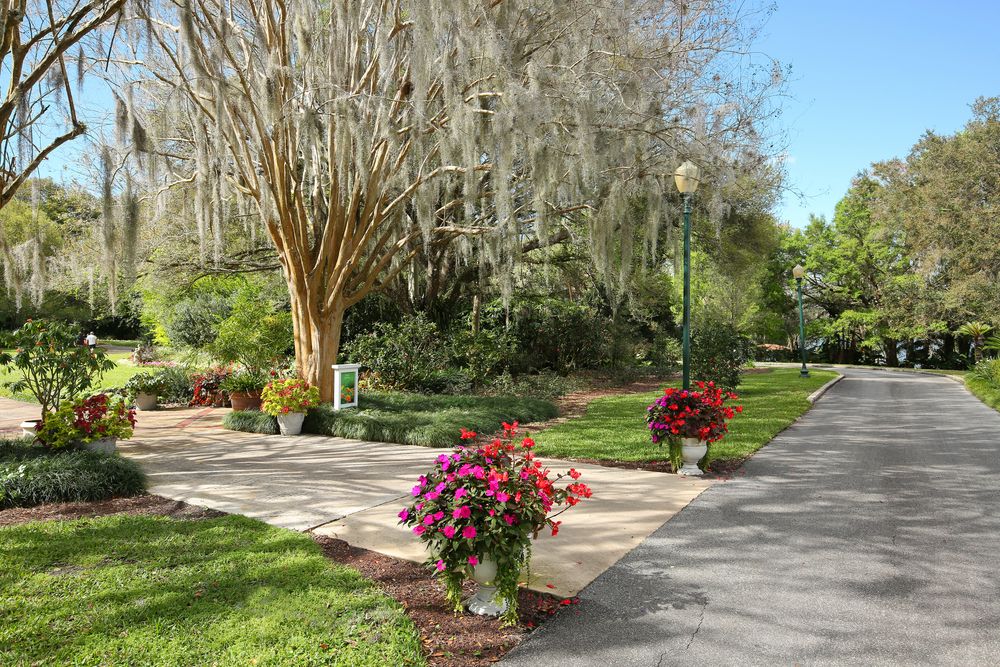 View of Harry P. Leu Gardens