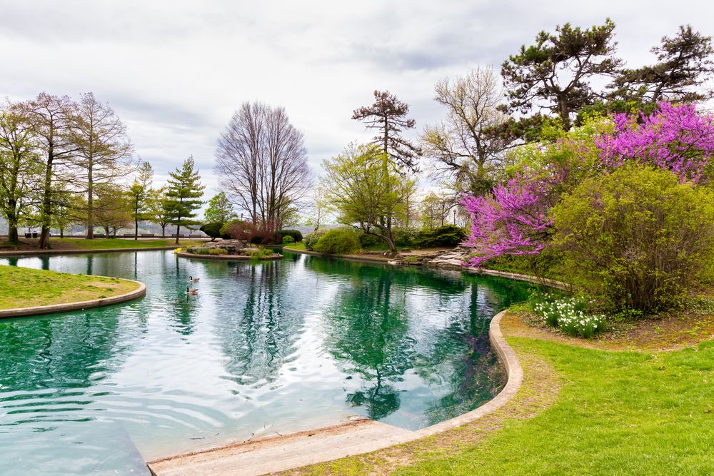 Pond at Eden Park