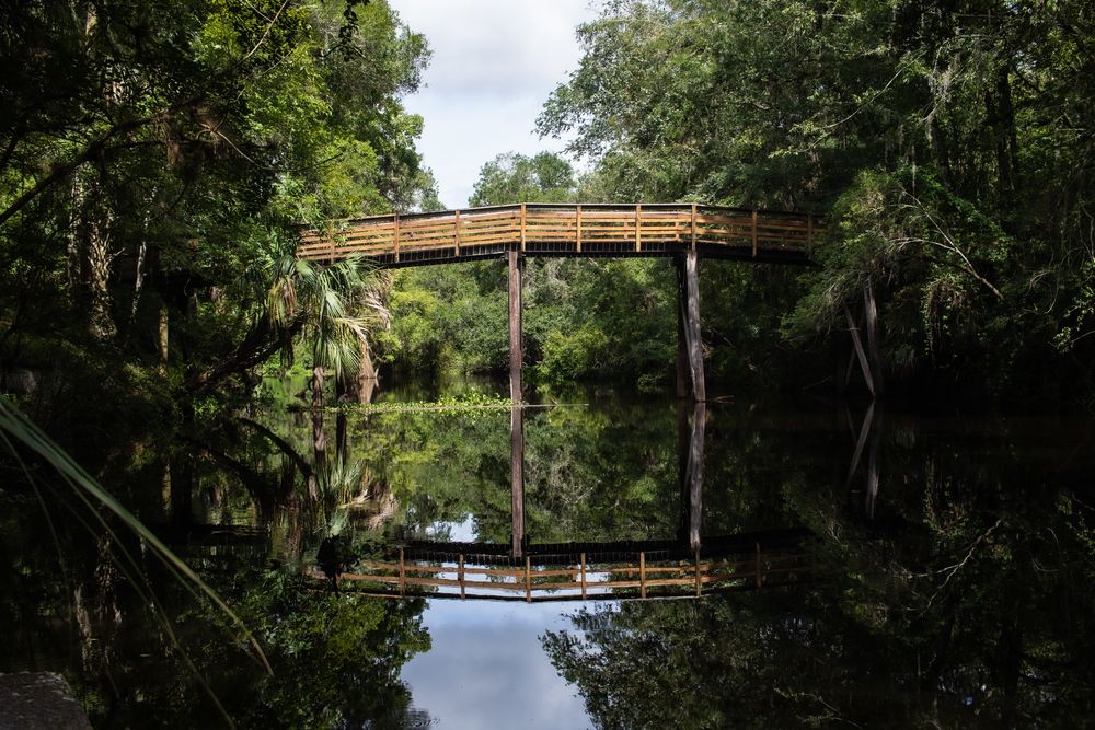 Daytime view of Hillsborough River State Park