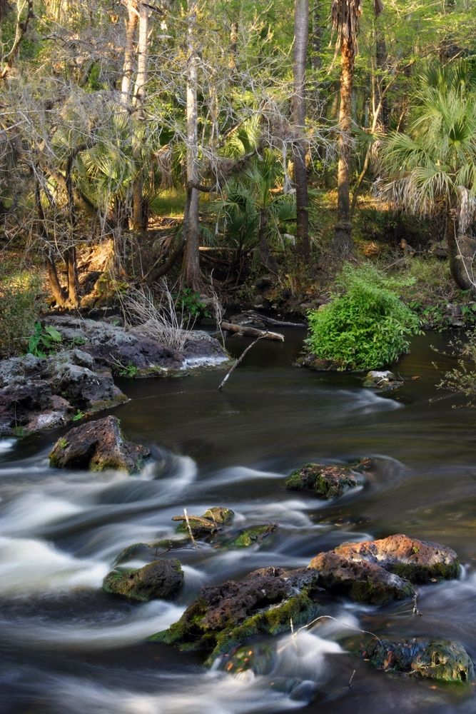 The waters of Hillsborough River State Park