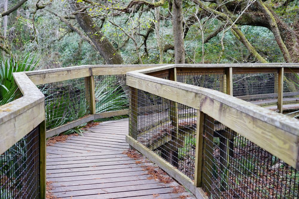 Boardwalk at Hillsborough River State Park
