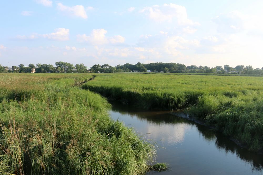 The waters of Mill Creek Marsh