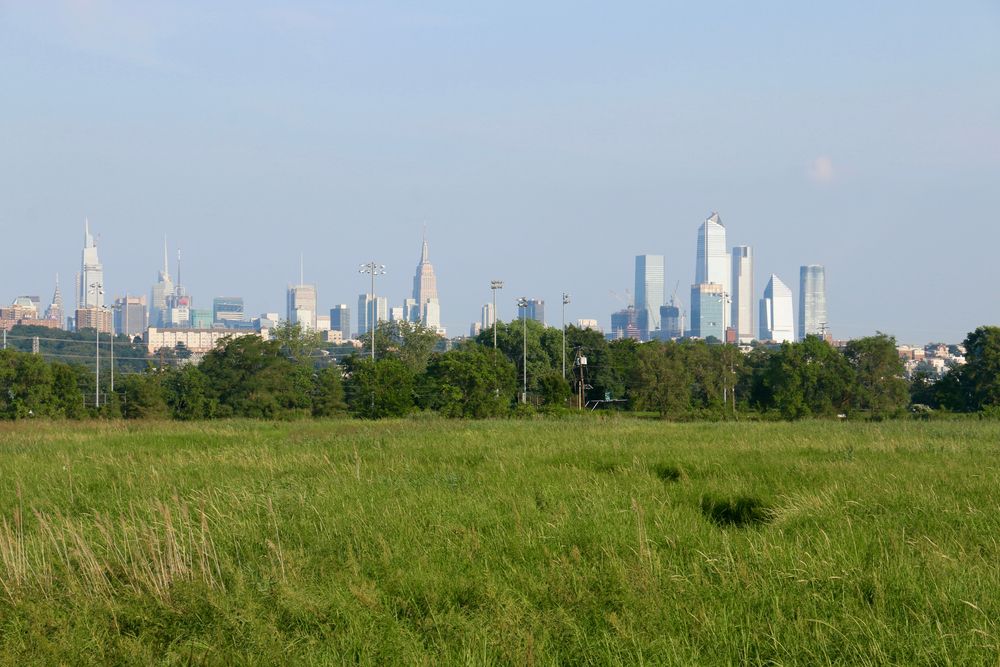 The grounds of Mill Creek Marsh