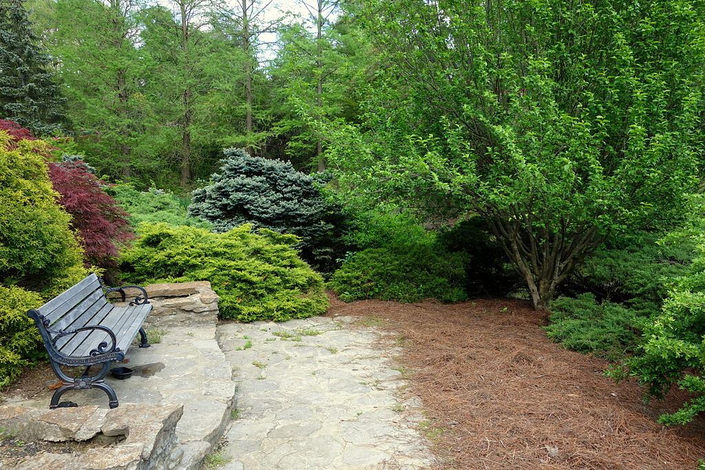 A bench at Mt. Airy Forest