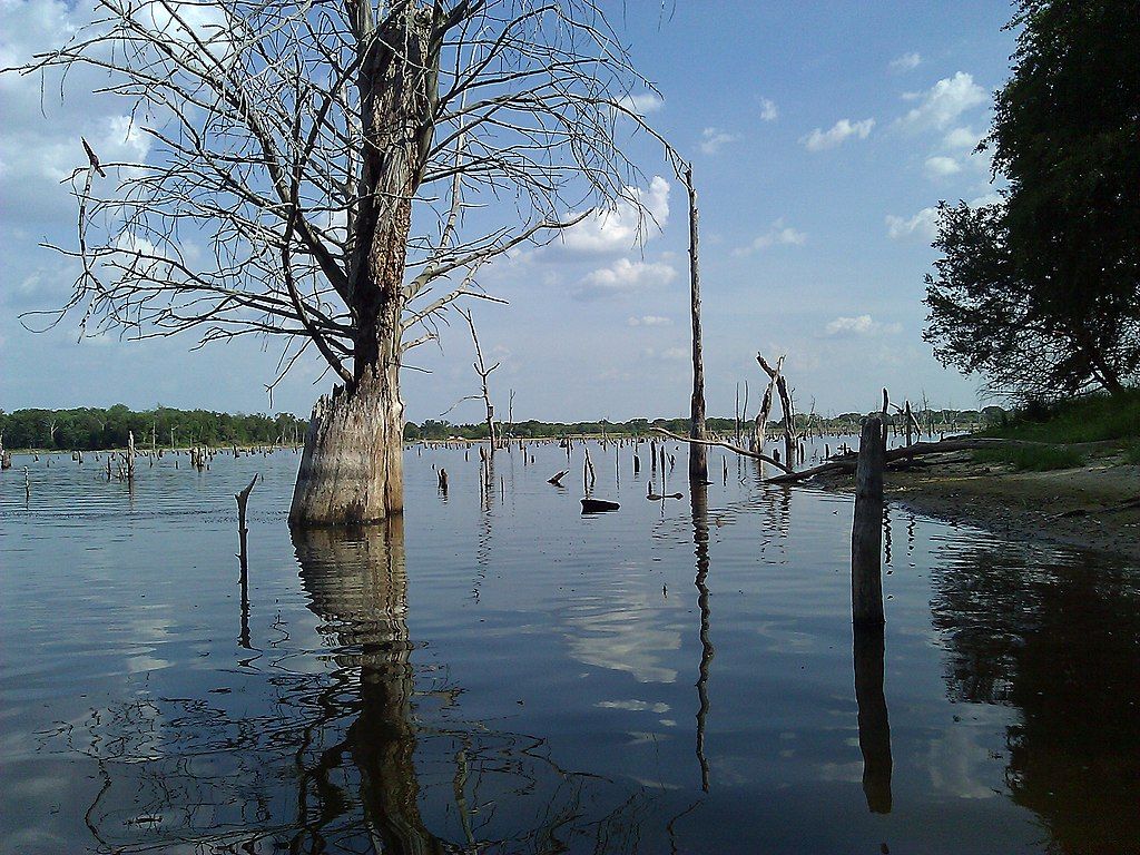 The waters of Purtis Creek State Park