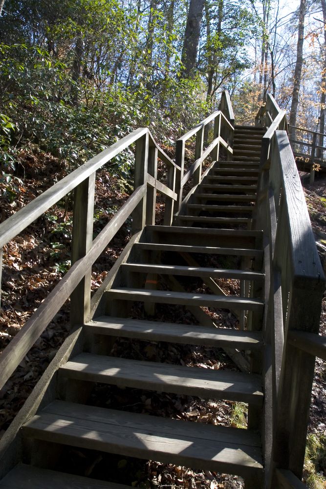 Stairs at Raven Rock State Park