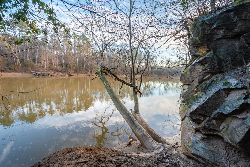 River at Raven Rock State Park