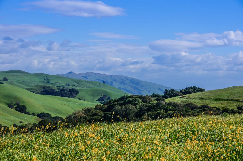 Scenic view of Garin & Dry Creek Pioneer Regional Parks
