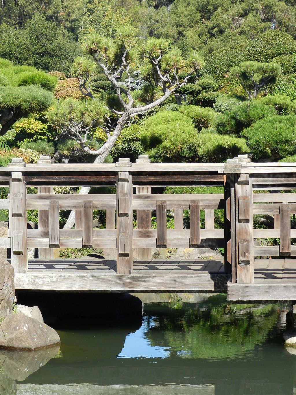 Wooden bridge at Hayward’s Japanese Gardens