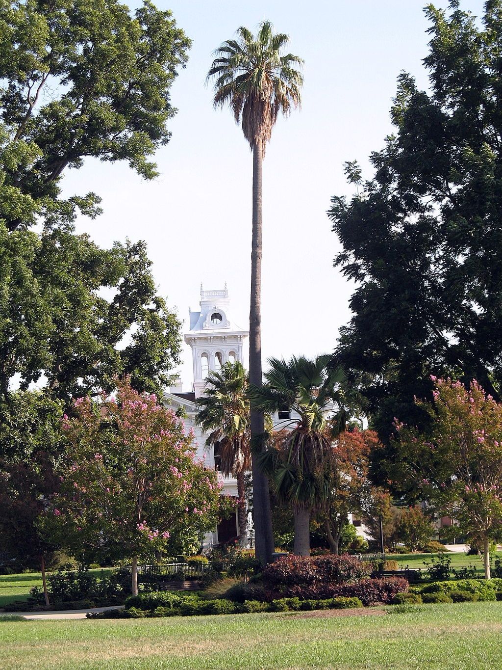 The grounds of Meek Mansion