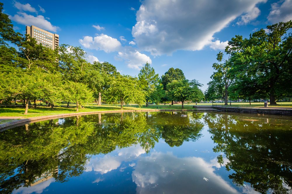The waters of Bushnell Park
