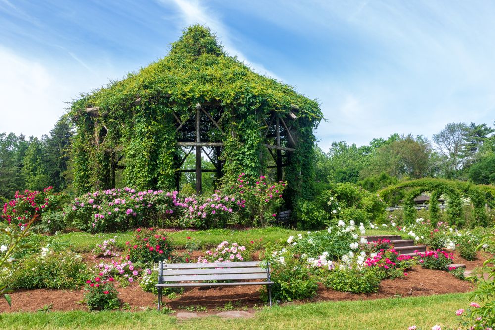 Gazebo surrounded with flowers at Elizabeth Park