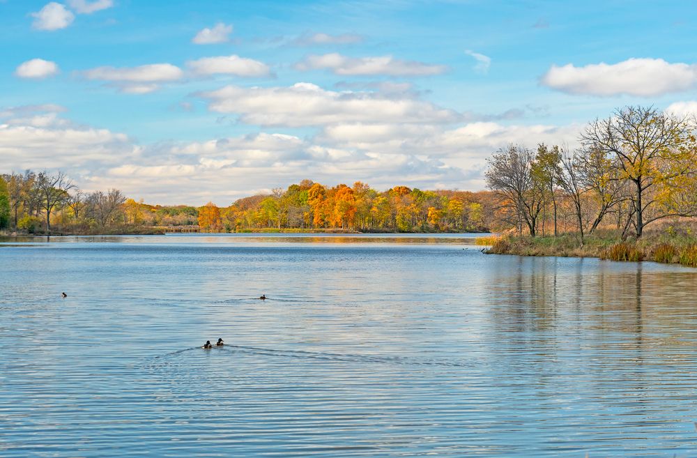 The waters of Busse Woods