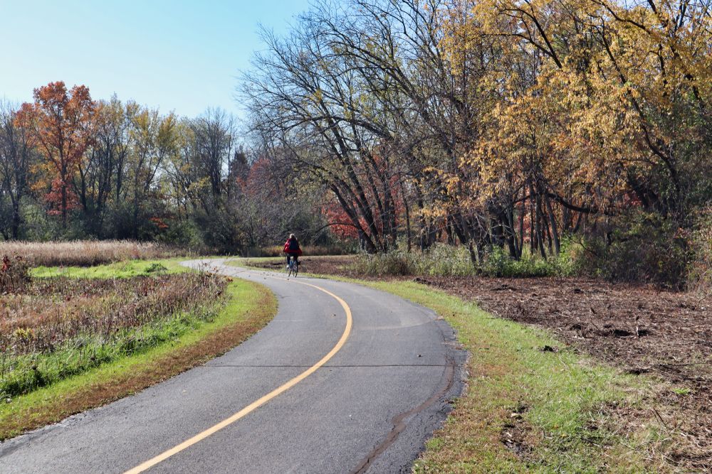 Bicycle path at Busse Woods