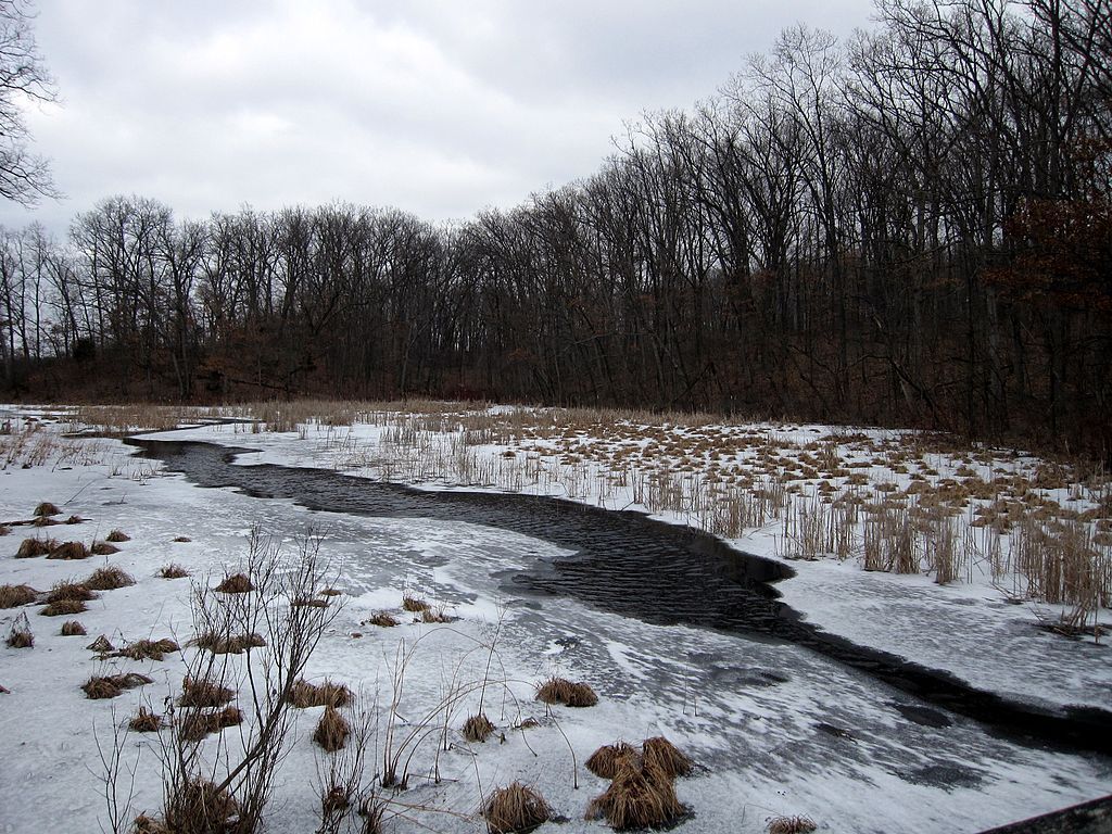 Snow at Pinckney State Recreation Area
