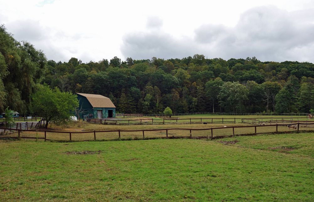 Landscape of Catskill Animal Sanctuary
