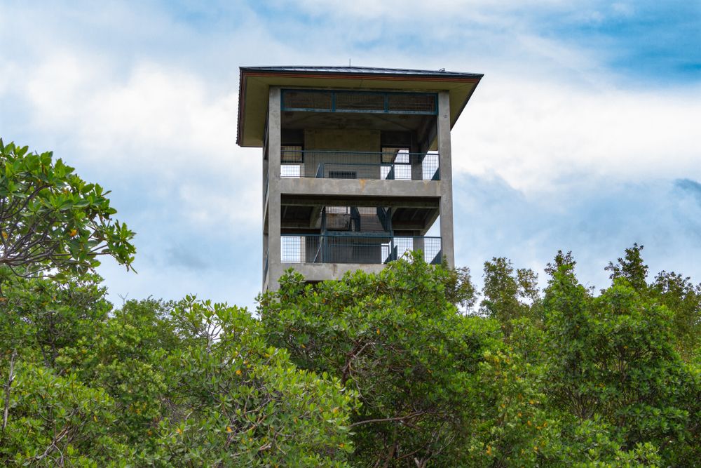 Observation tower at Anne Kolb Nature Center