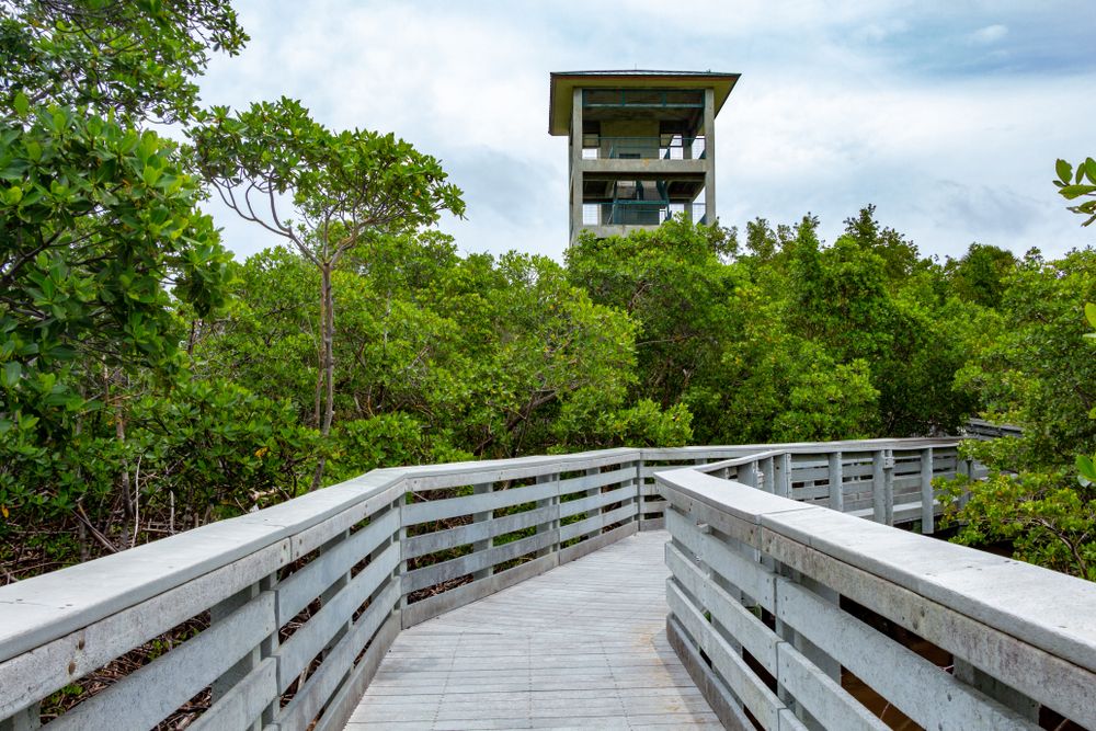 Boardwalk at Anne Kolb Nature Center
