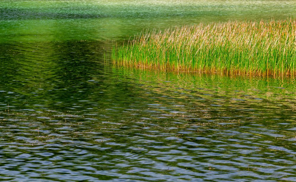 The waters of Topeekeegee Yugnee Park
