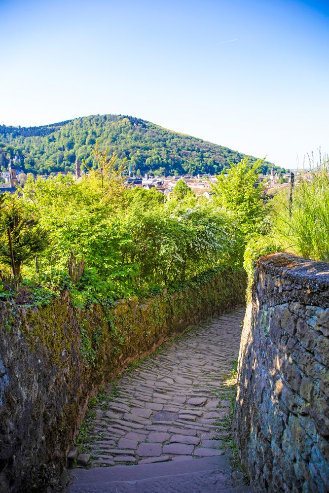 A trail at Philosophenweg