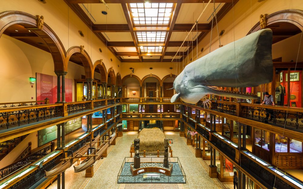 Interior of Bernice Pauahi Bishop Museum