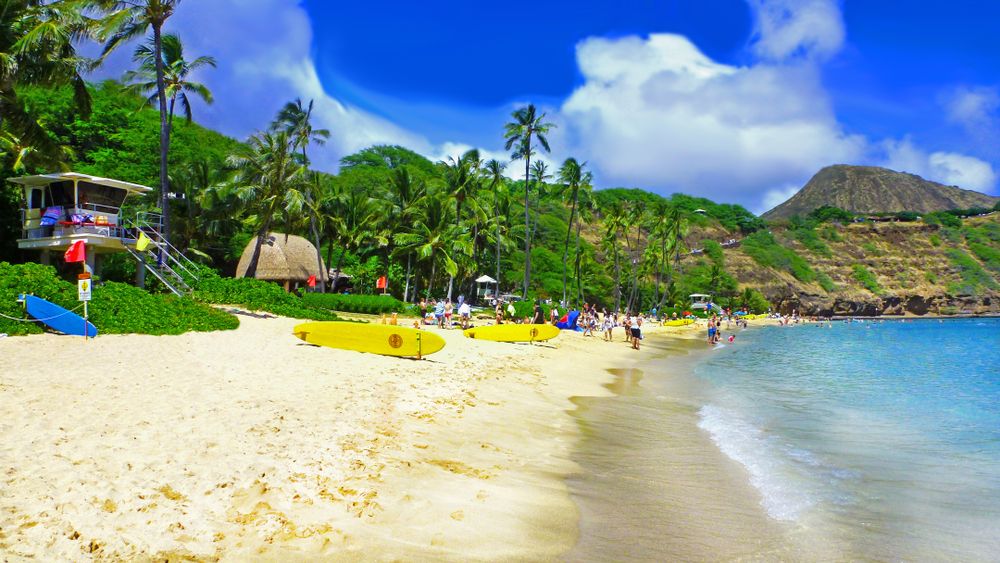 Sunny day at Hanauma Bay State Park
