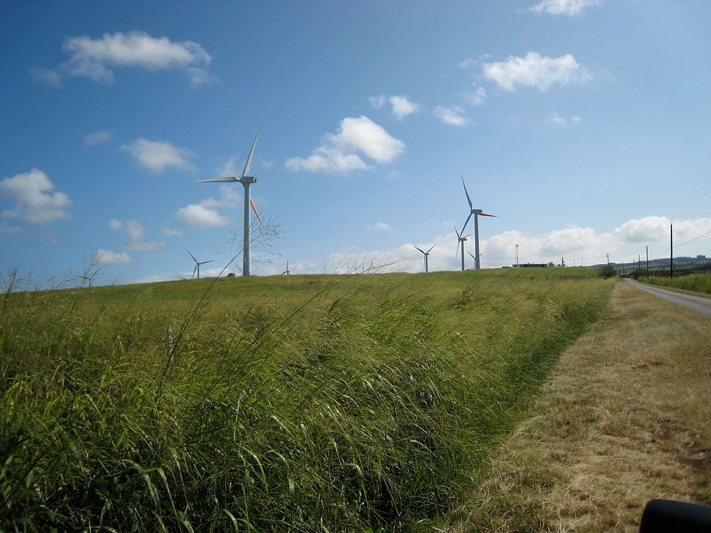 A trail at Hawi Wind Farm