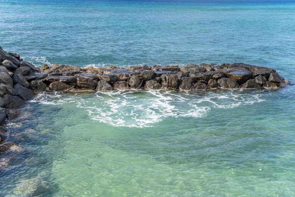 The waters of Kaka’ako Waterfront Park