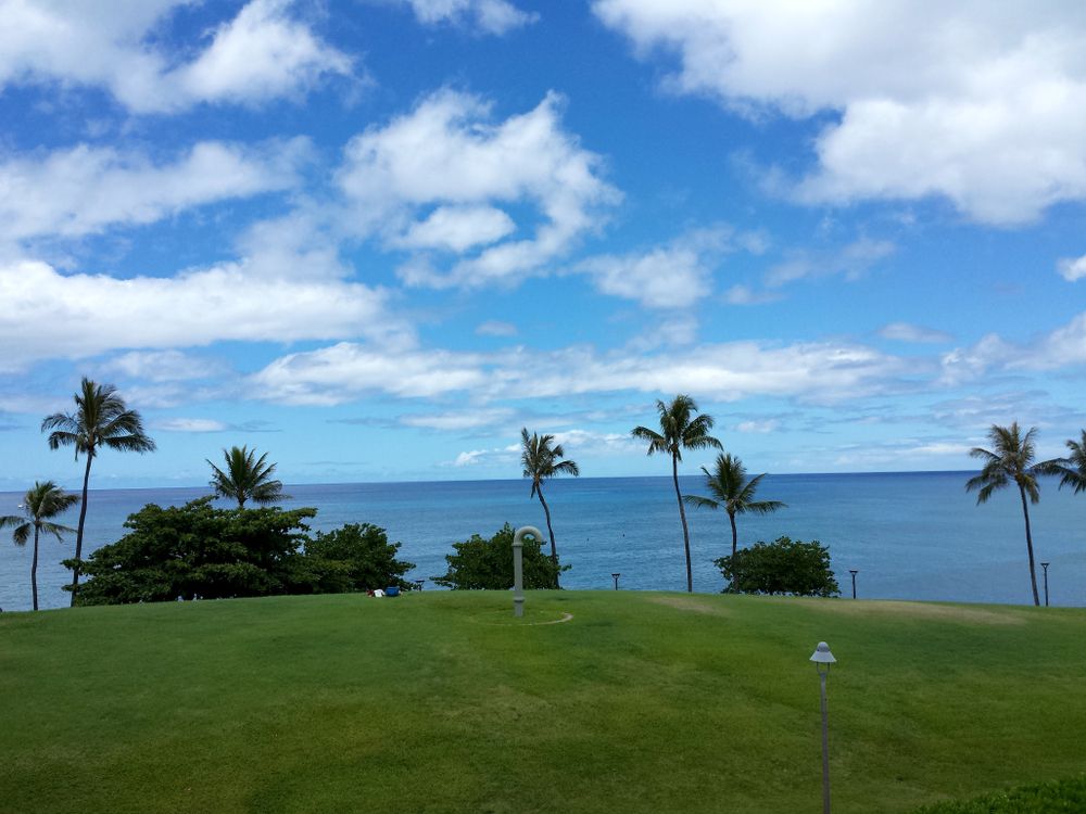The grounds of Kaka’ako Waterfront Park
