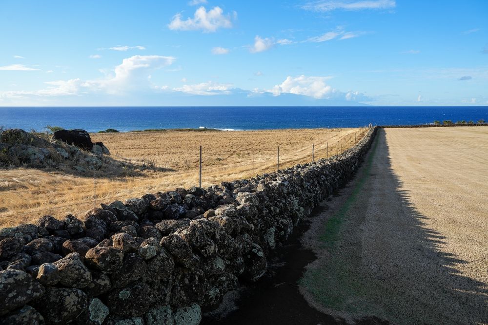 Ruins at Kohala Historical Sites State Monument