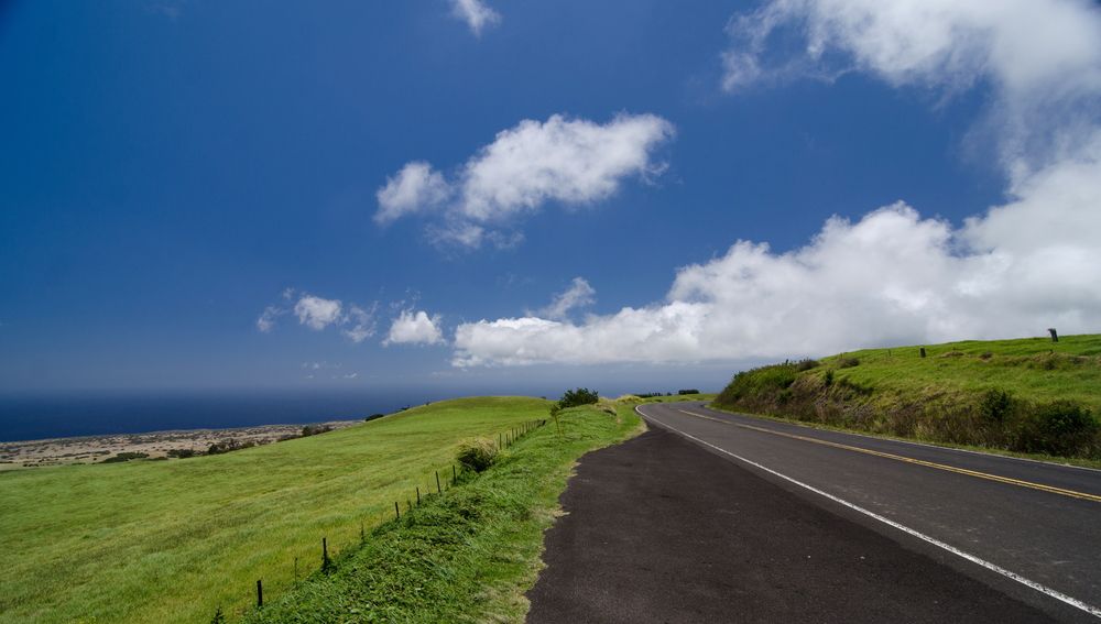 The road of Kohala Mountain Road