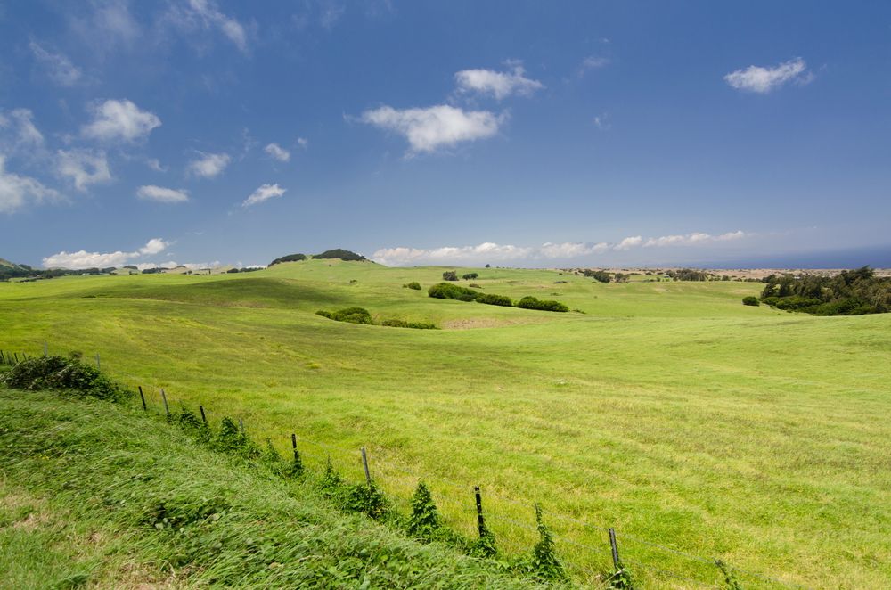 Scenic landscape along Kohala Mountain Road