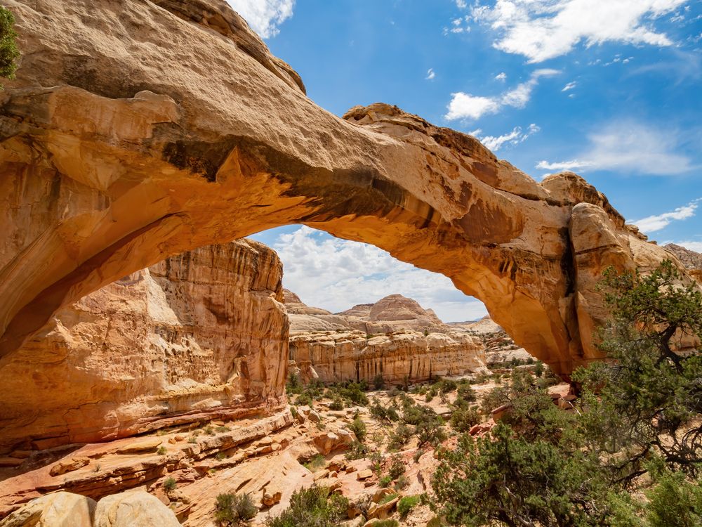 View of Hickman Bridge Trail