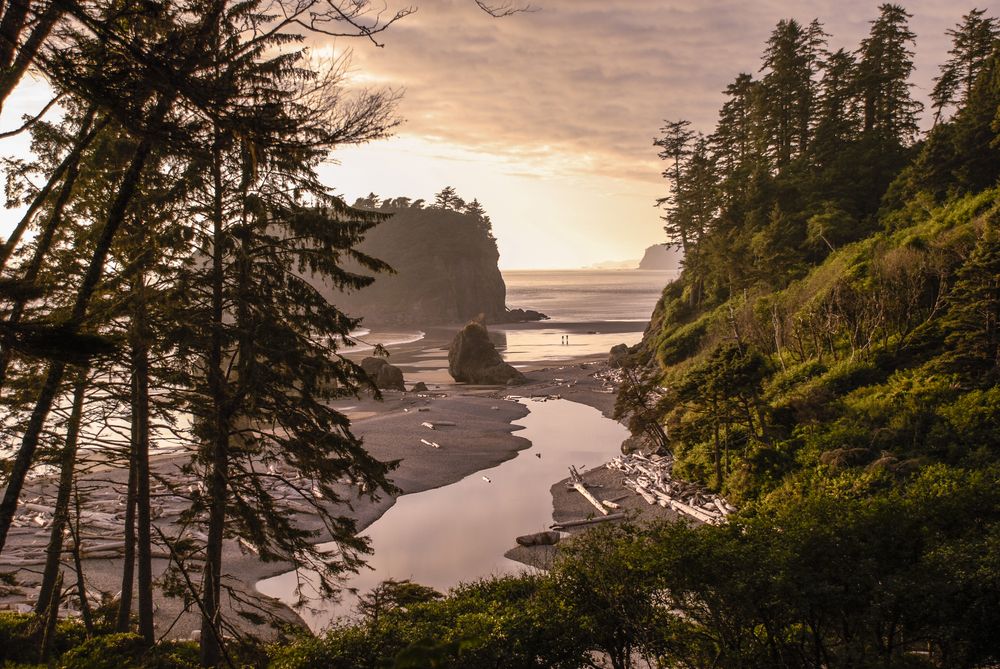 Wide view of Ruby Beach in Washington