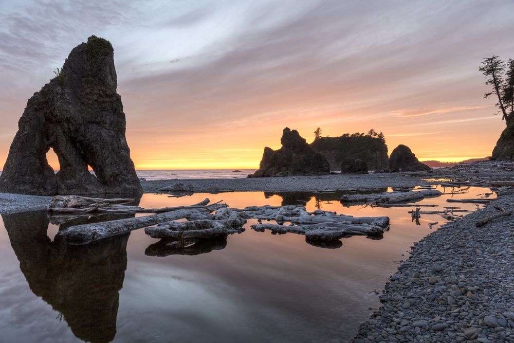 Driftwoods at Ruby Beach in Olympic National Park.