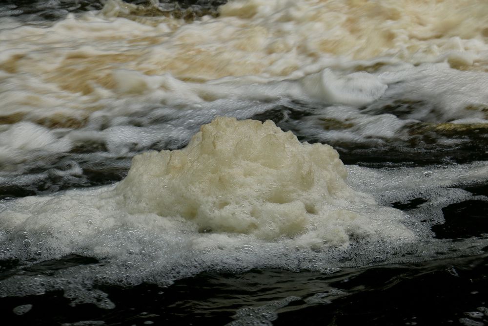 Closer look on foamy waters on Black River County Park.