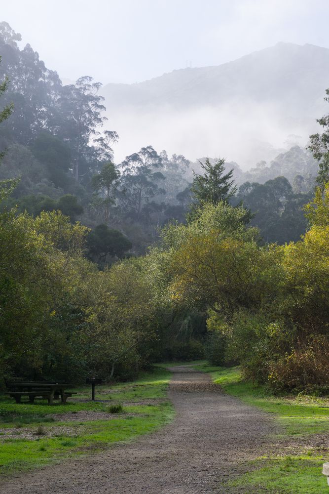 View of San Pedro Valley Park